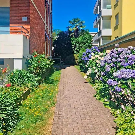 Apartment Oasis - Peaceful And